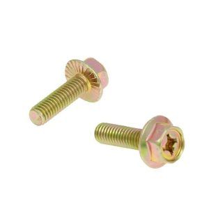 Vijak dušilca M6x16 RACING PLANET (par)