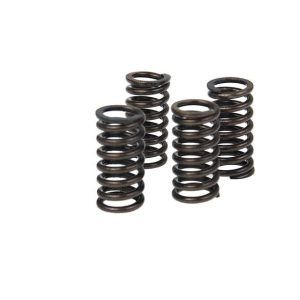 Vzmeti sklopke SPORT RP -AM6 / Derbi ESE- EBS -D50B0