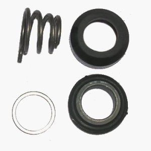 Semering vodne črpalke DMB