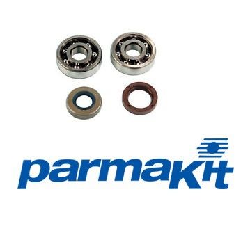 Set ležajev gredi -AM6 -Parmakit -HIGH Speed -SKF C3