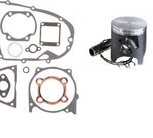 Piston / Gasket