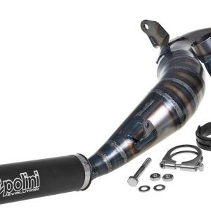 Izpuh Polini Evolution, Vespa PX 200