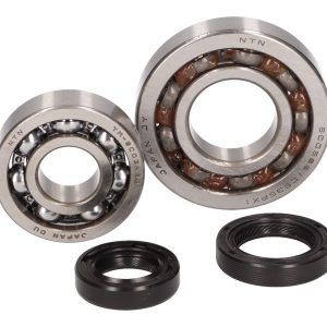 Set ležajev gredi - CIF - Aprilia Scarabeo, Piaggio Liberty, Zip, Vespa ET4 50 4T (1 serija , 25mm ležišče ležaja gredi )