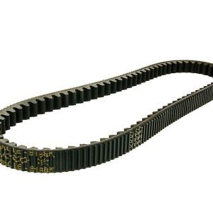 Jermen Dayco Power Plus za Piaggio Beverly 200 03- ZAPM282