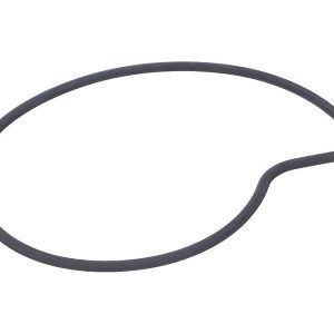 O - ring vodne črpalke OEM Piaggio LC 125 - 300