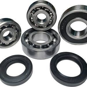 Bearings crank