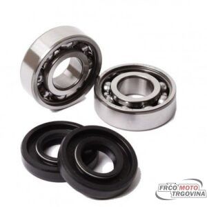 Set of bearings and oil seals Tomos A3, A35 - SKF