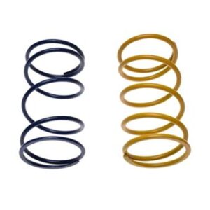 Clutch Central Spring – Tuning Set (2 pcs) for 4-Stroke Scooters