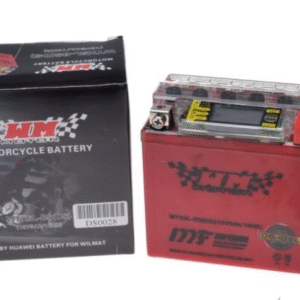 Battery YTX5L-BS (iGEL) – WM MOTOR 12V with LCD Display