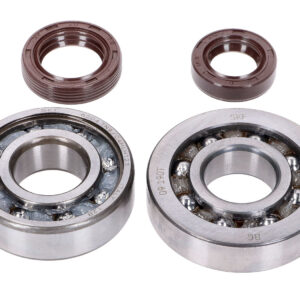 Naraku Crankshaft Bearing Set SKF, FKM Premium C3/C4 Polyamide – Peugeot Vertical E2
