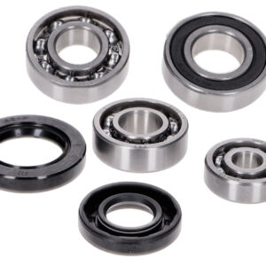 Gearbox Bearing Set with Oil Seals – CPI Euro2