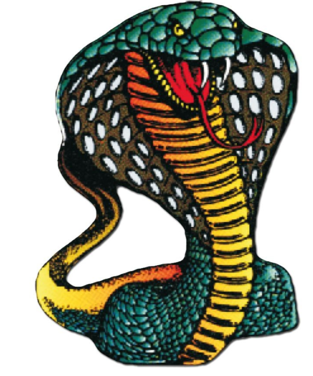 Sticker – Snake Cobra 10 × 12 cm