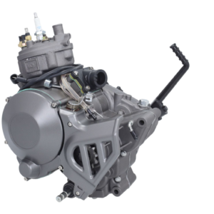 Engine-DMP- Minarelli AM6 – 50 cc (with starter)